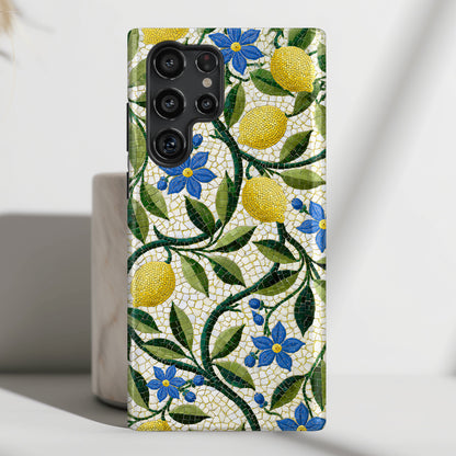ps:samsung-v25view
