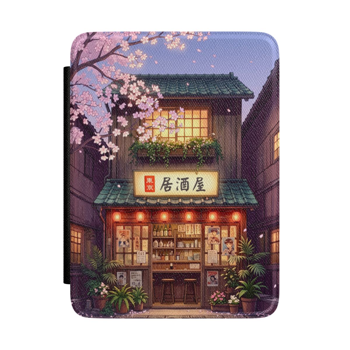 pf:KINDLE:Colorsoft:front
