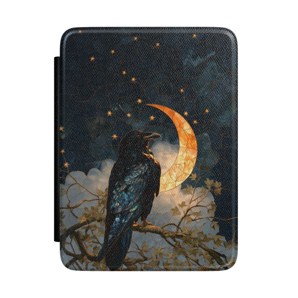 pf:KINDLE:Colorsoft:front