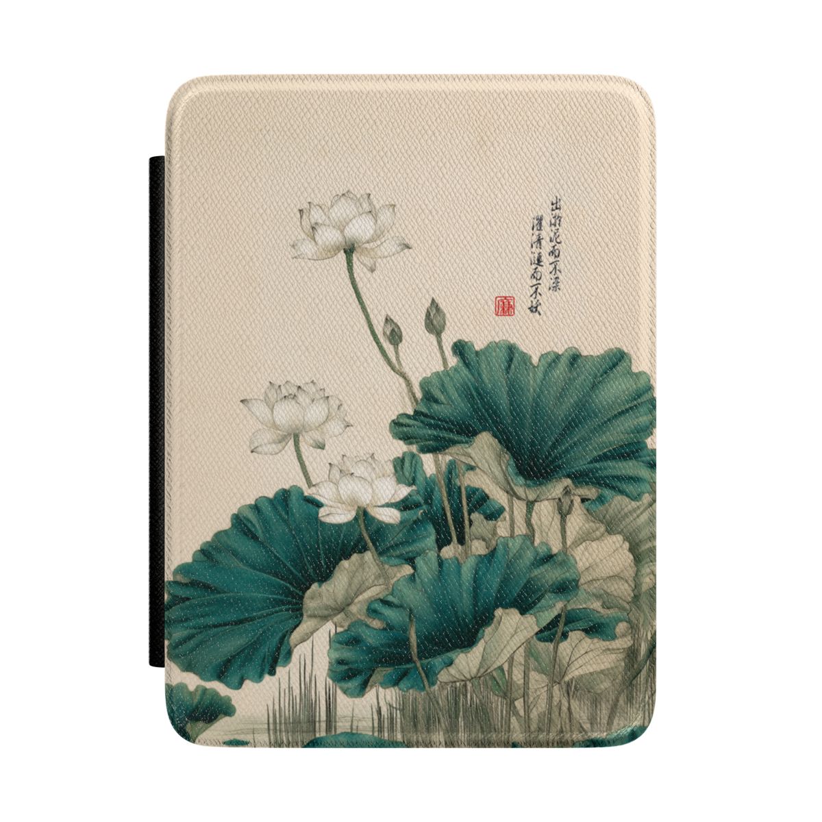 pf:KINDLE:Colorsoft:front
